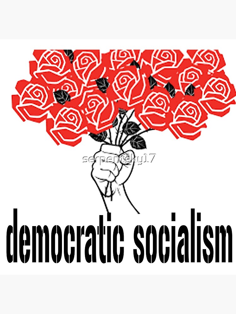 "Democratic Socialism With Roses" Photographic Print by serpentsky17
