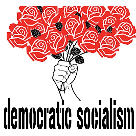 "Democratic Socialism With Roses" Photographic Print by serpentsky17