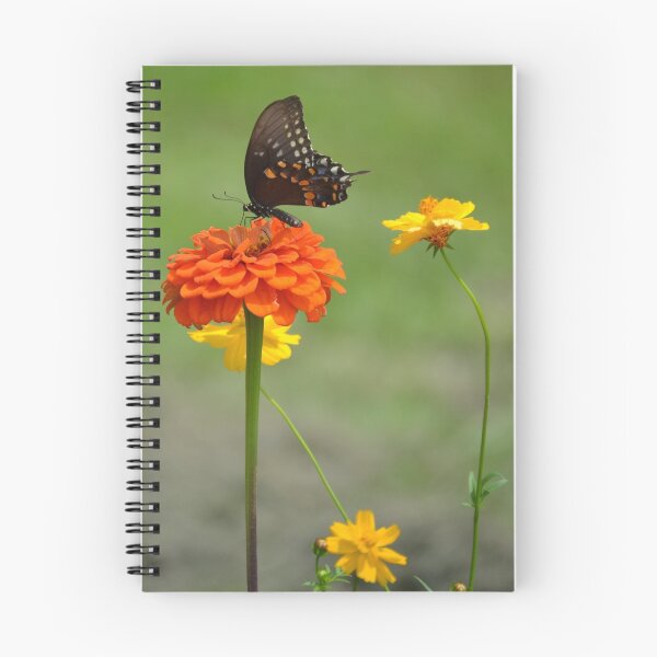 Artikelvorschau, Orange Flower and Butterfly entworfen und verkauft von Kimberly Castello.