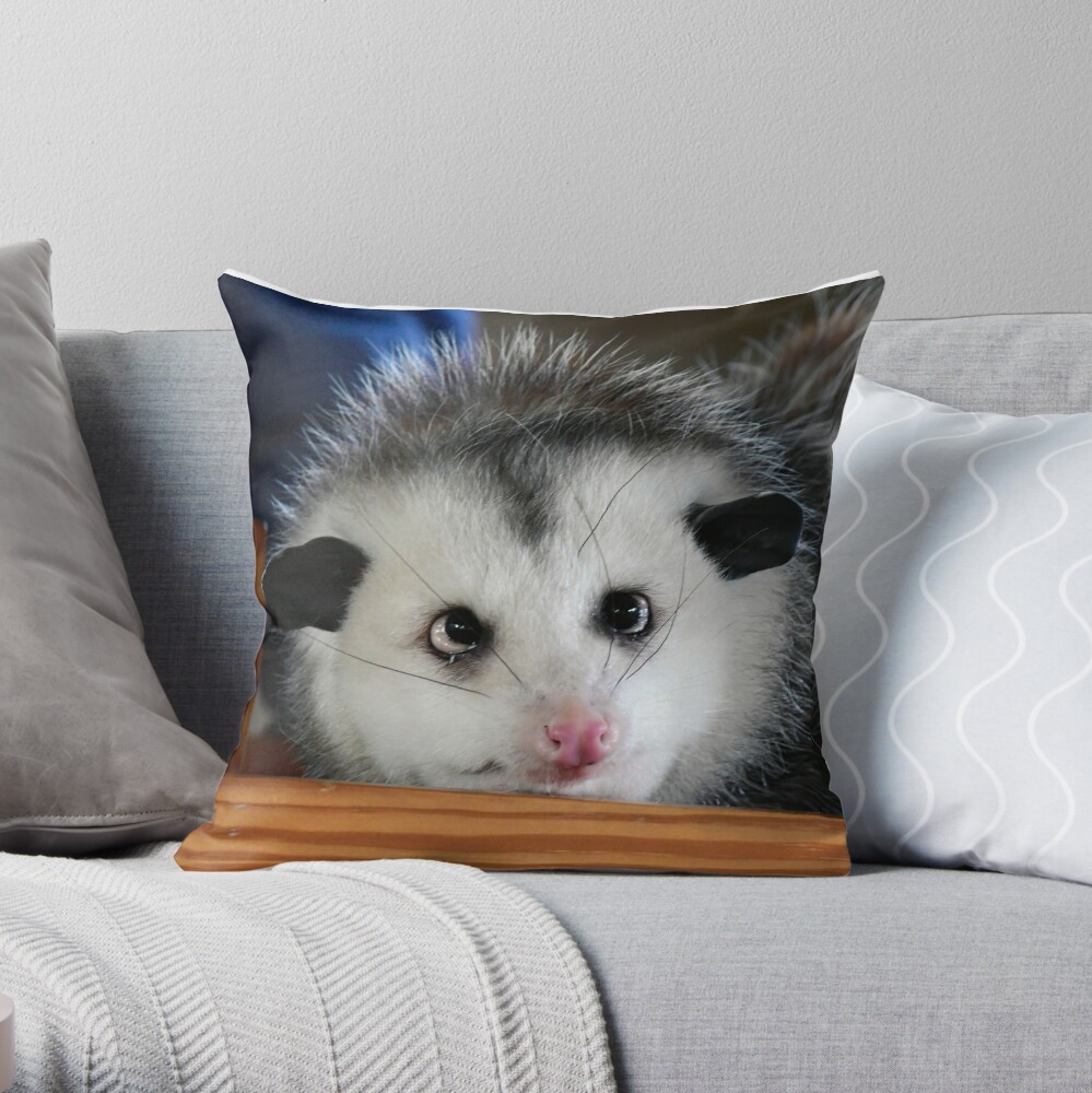 possum pillow pet