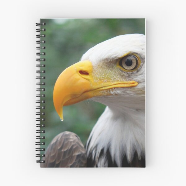 Item preview, Portrait of A Bald Eagle designed and sold by Jo Nijenhuis.