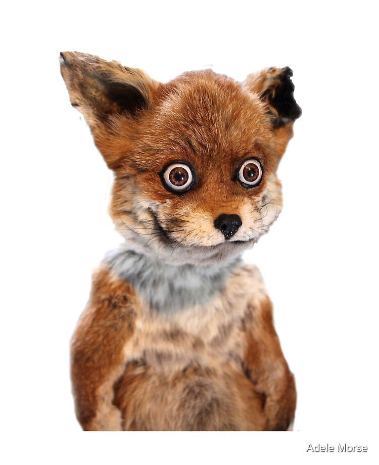 stoned fox plush