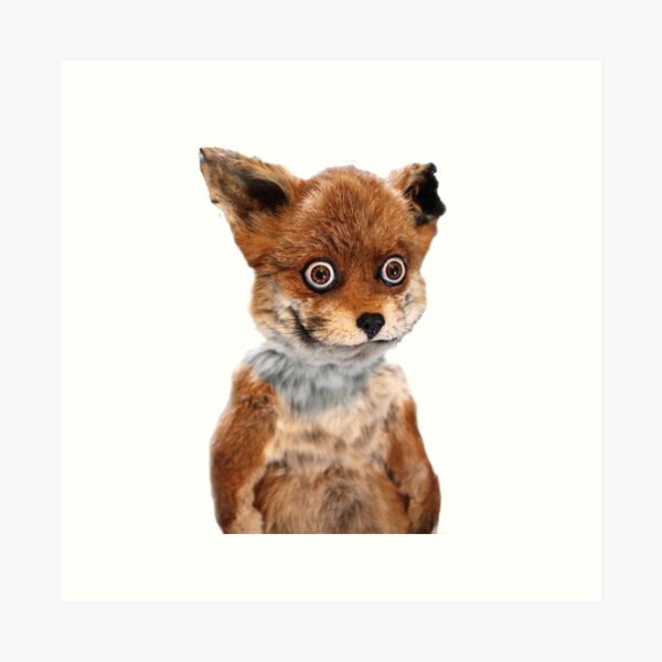 Item preview, GEOFF STONED FOX TAXIDERMY MEME ADELE MORSE designed and sold by Adele Morse.