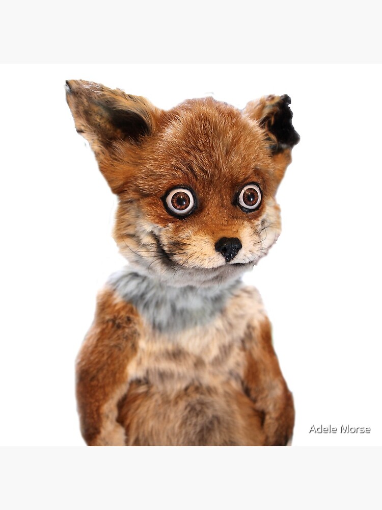 stoned fox stuffed animal