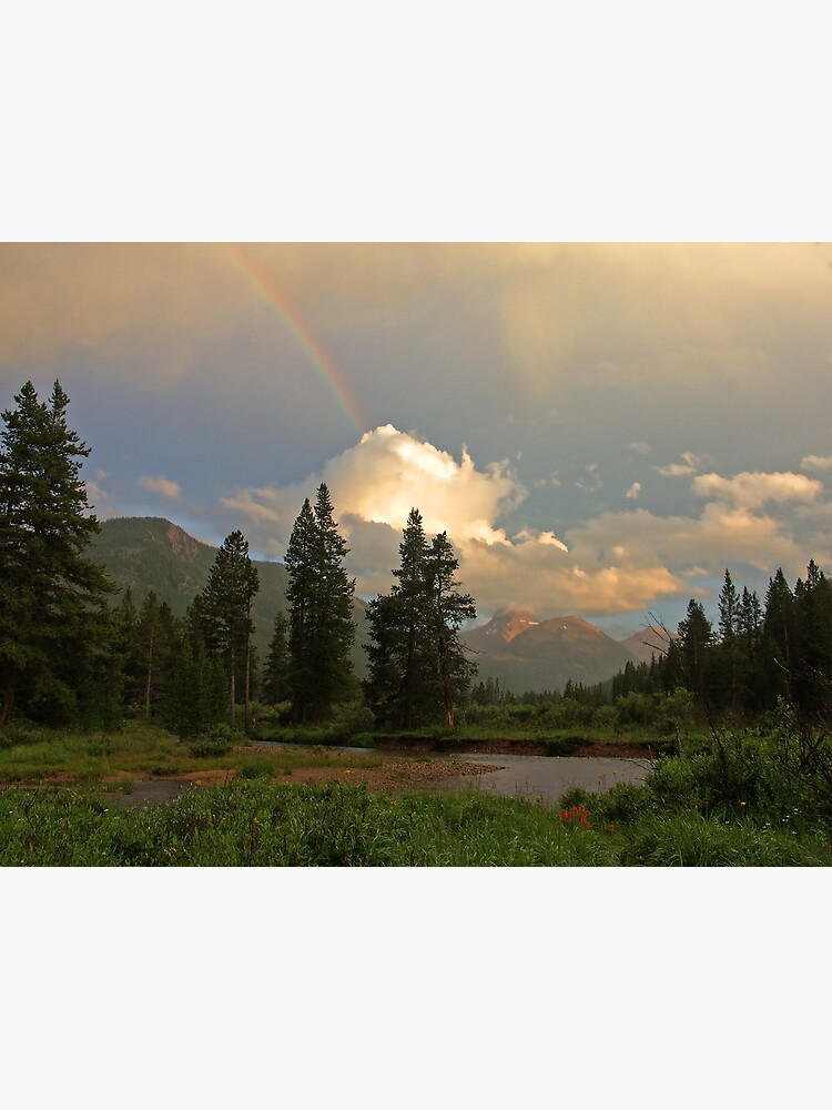 Rainbow Light by LumenLux