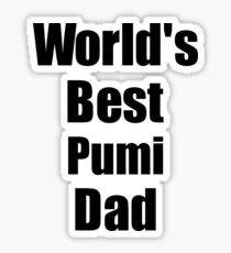 Pumi Dad Dog Lover World's Best Funny Gift Idea For My Pet Owner Sticker