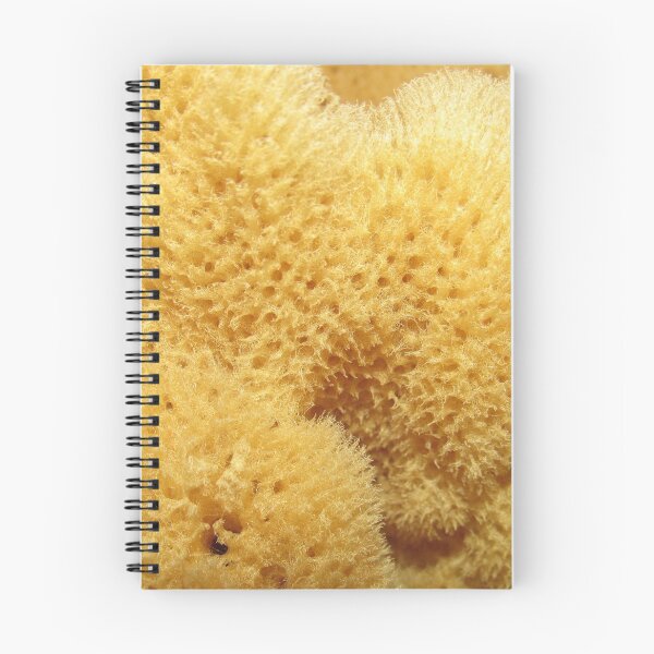 Item preview, Closeup of Sea Sponge designed and sold by choffb.