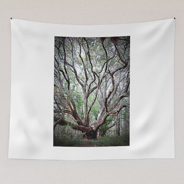 Item preview, Solitude For The Oak designed and sold by Cynthia48.