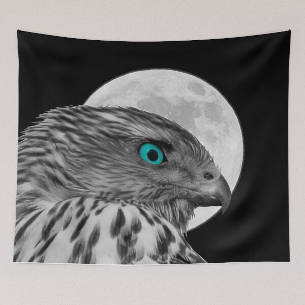 Item preview, Black and White Hawk with Blue Eye Bird Art A290 designed and sold by byNicol.