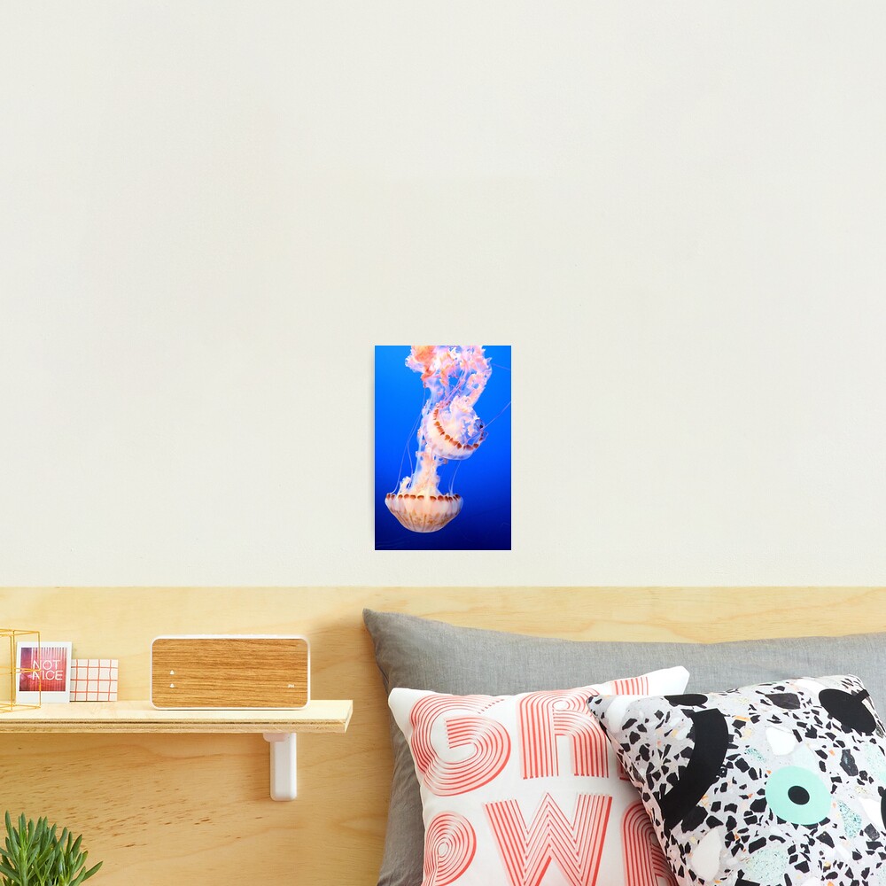 Item preview, Photographic Print designed and sold by Reriginal.