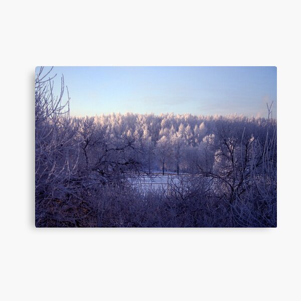 Frost everywhere Canvas Print