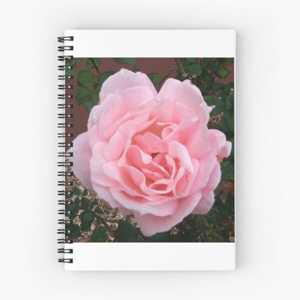 Item preview, PINK ROSE OPEN TO THE SUN designed and sold by JAYMILO.