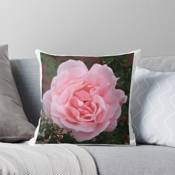 Item preview, PINK ROSE OPEN TO THE SUN designed and sold by JAYMILO.