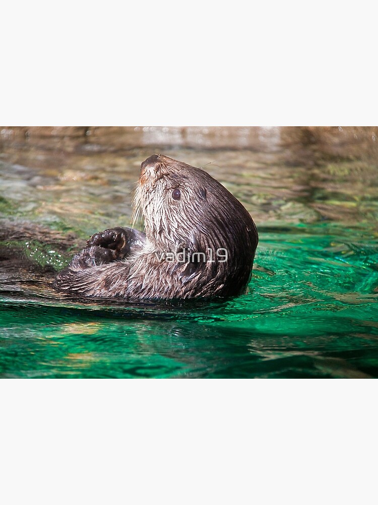 Greeting Card for Sale by vadim19