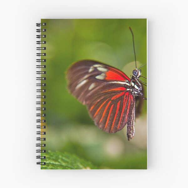 Item preview, USA. Seattle. At the Pacific Science Center. Butterfly. designed and sold by vadim19.