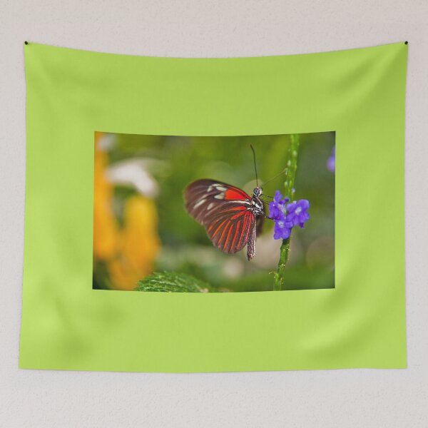 Item preview, USA. Seattle. At the Pacific Science Center. Butterfly. designed and sold by vadim19.