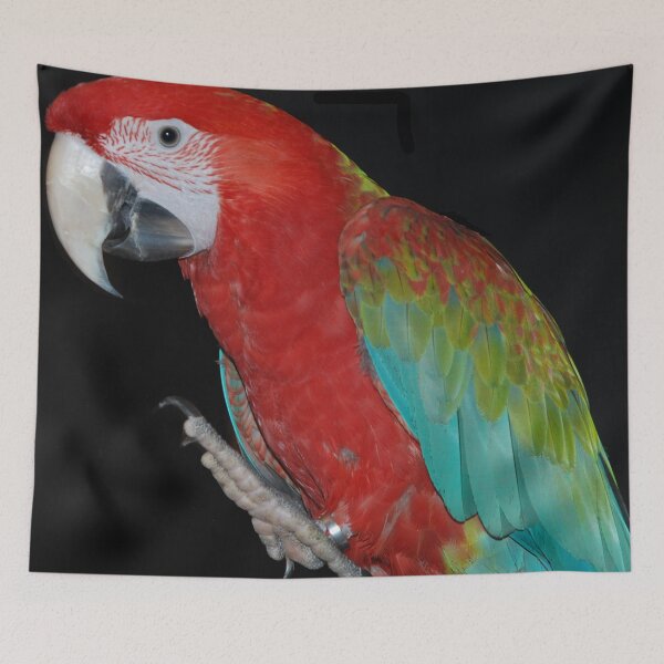 Item preview, Red Macaw designed and sold by lizdomett.