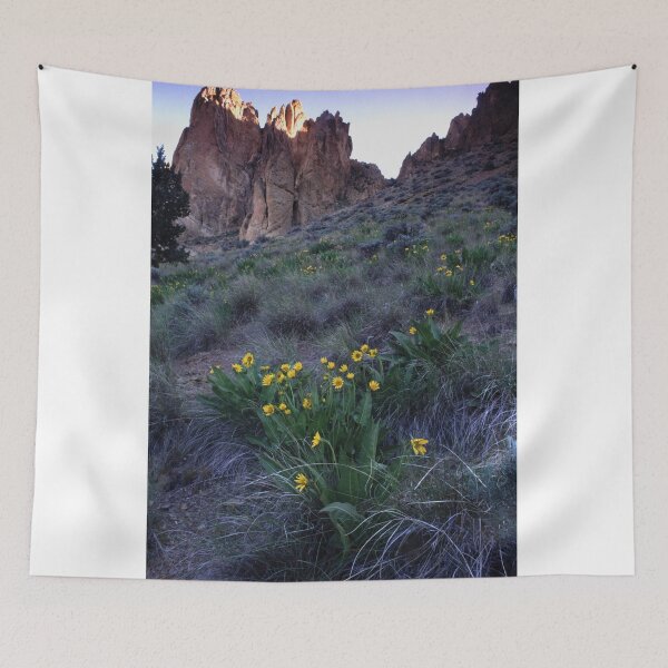 Item preview, Balsam root at Smith Rock ST. Park designed and sold by jklune.