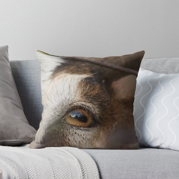 Item preview, the Goat - Eyes designed and sold by Jacob Schouten.