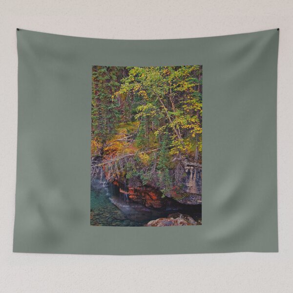 Item preview, Canada. Canadian Rockies. Jasper NP. Maligne Canyon. Fall Colors. designed and sold by vadim19.