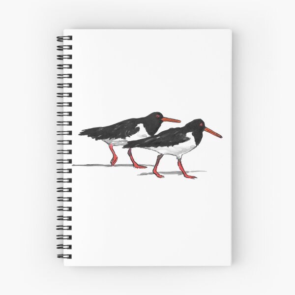 Item preview, Oystercatchers designed and sold by GillGillIllustr.