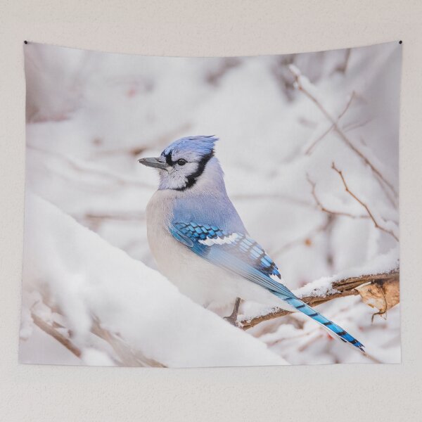 Item preview, Blue Jay in the Snow designed and sold by Patty Doublet Photography.