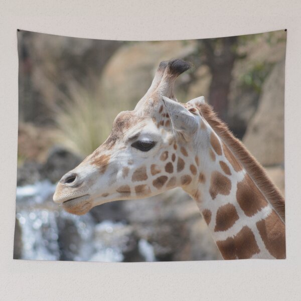 Item preview, adorable- Giraffe Auckland New Zealand designed and sold by lizdomett.