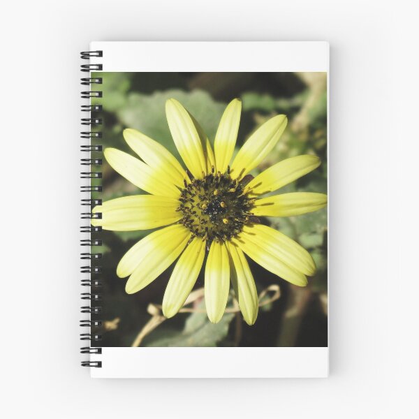 Item preview, Backyard Dandelion  designed and sold by Cindy Hitch.