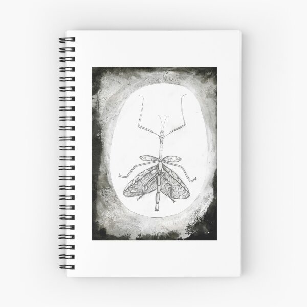 Item preview, insect (year of fish collection) designed and sold by Ava Rockafield.