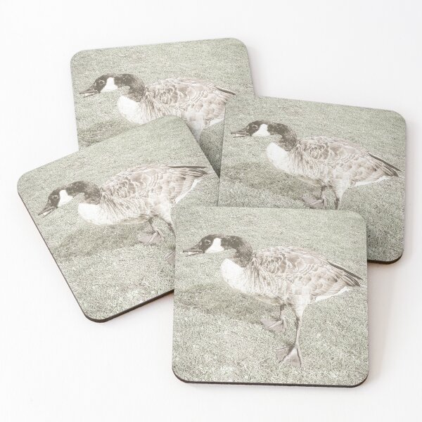 Item preview, Birds & Animals BA115b2 designed and sold by Hyperion Photoart.