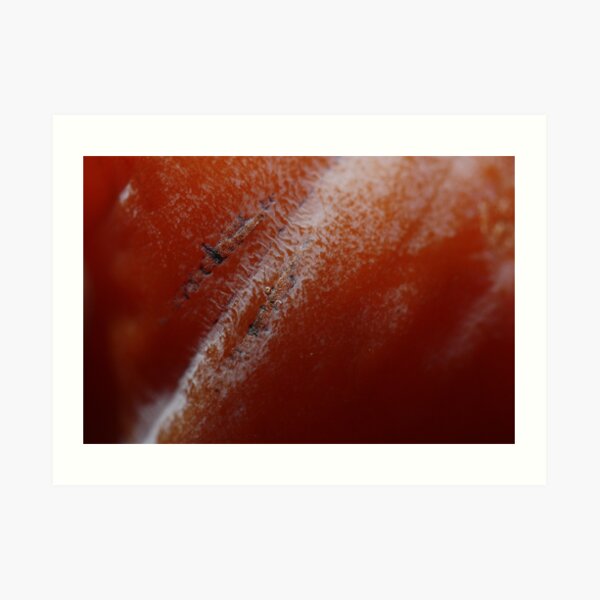 kaki scars Art Print