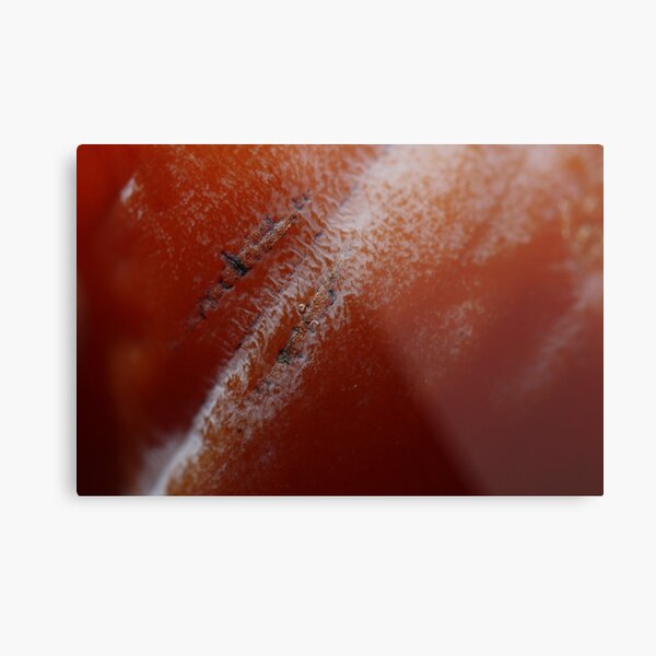 kaki scars Metal Print
