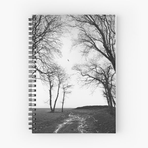 Item preview, Wintry field in Wales designed and sold by nadine henley.