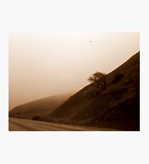 Altamont Set #5 Photographic Print