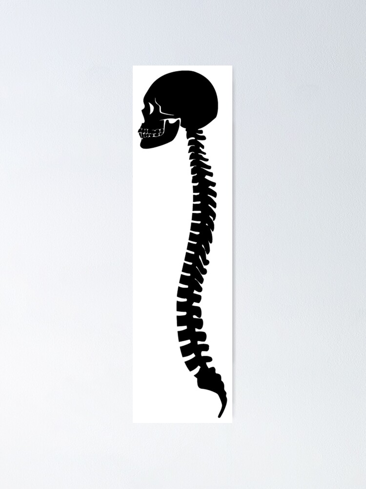 Poster Silueta De Huesos De Craneo Y Medula Espinal Columna Vertebral De Aaronisback Redbubble