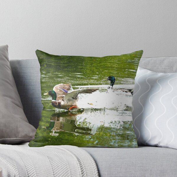 Item preview, ducks taking off designed and sold by nickhedges.