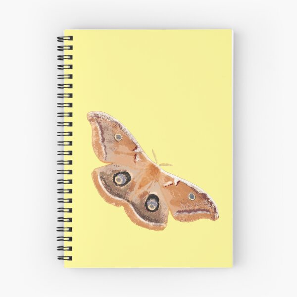 Item preview, Emperor Gum Moth (Opodiphthera eucalypti) large on Lemon designed and sold by ChrissyWild.