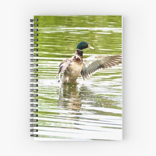 Item preview, duck on beverley beck designed and sold by nickhedges.