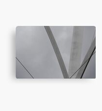 Lines in the Mist Canvas Print