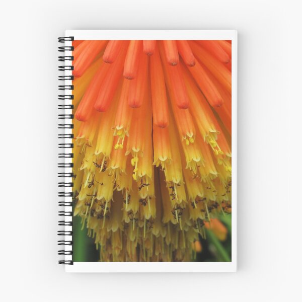 Item preview, Red Hot Poker designed and sold by Cindy Hitch.