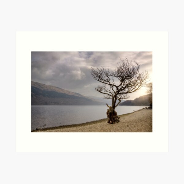 Item preview, Late Afternoon at Firkin Point, Loch Lomond designed and sold by ChristineJayne.