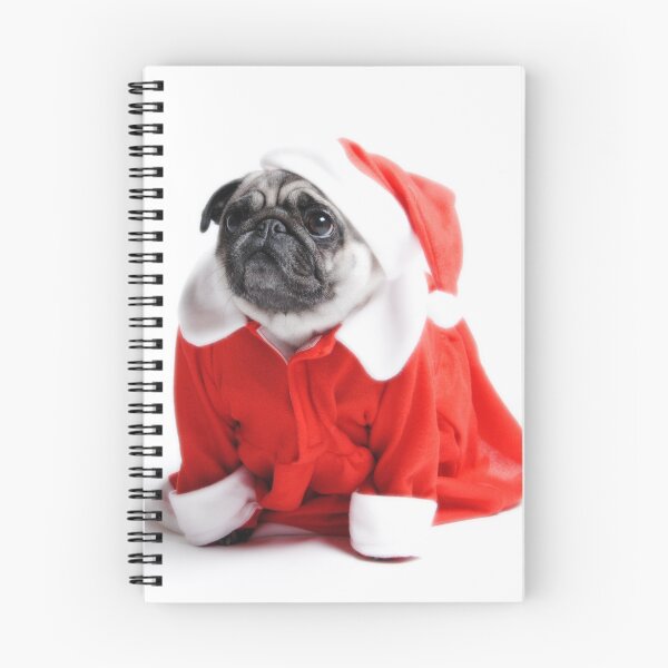 Item preview, Santa Honey designed and sold by NJMphotography.