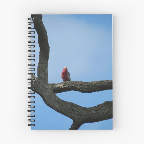 Item preview, Galah designed and sold by Cindy Hitch.