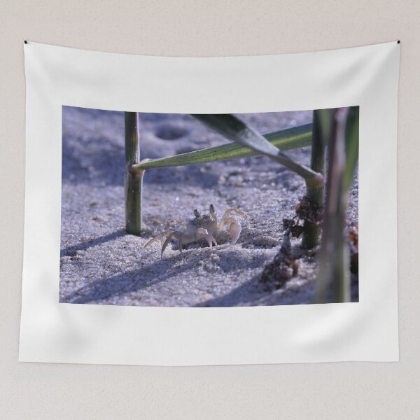 Item preview, Tiny Crab designed and sold by CodyLaskeyPhoto.