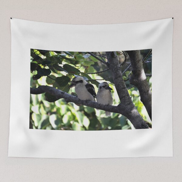 Item preview, Kookaburras designed and sold by CodyLaskeyPhoto.