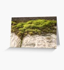 Miniature Landscape Greeting Card