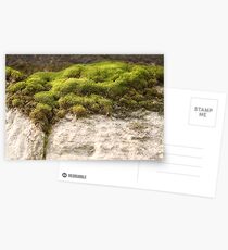 Miniature Landscape Postcards