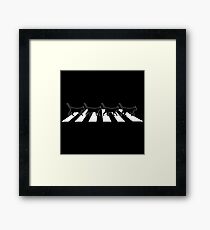 Abbey Road Cats Framed Print