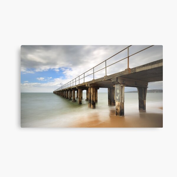 Metal Print