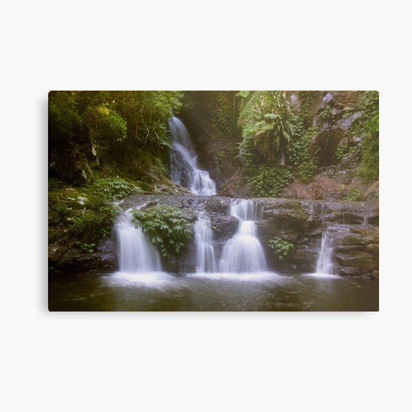 Item preview, Elabana Falls, Lamington National Park designed and sold by smallan.